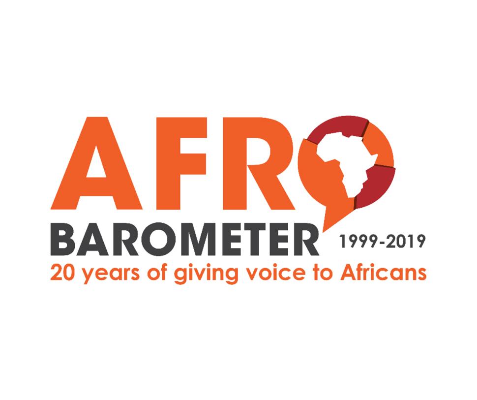 Relatório_Afrobarometer Roud8